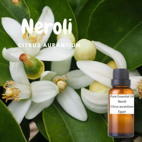 100 Neroli Pure Essential Oil Citrus Aurantium